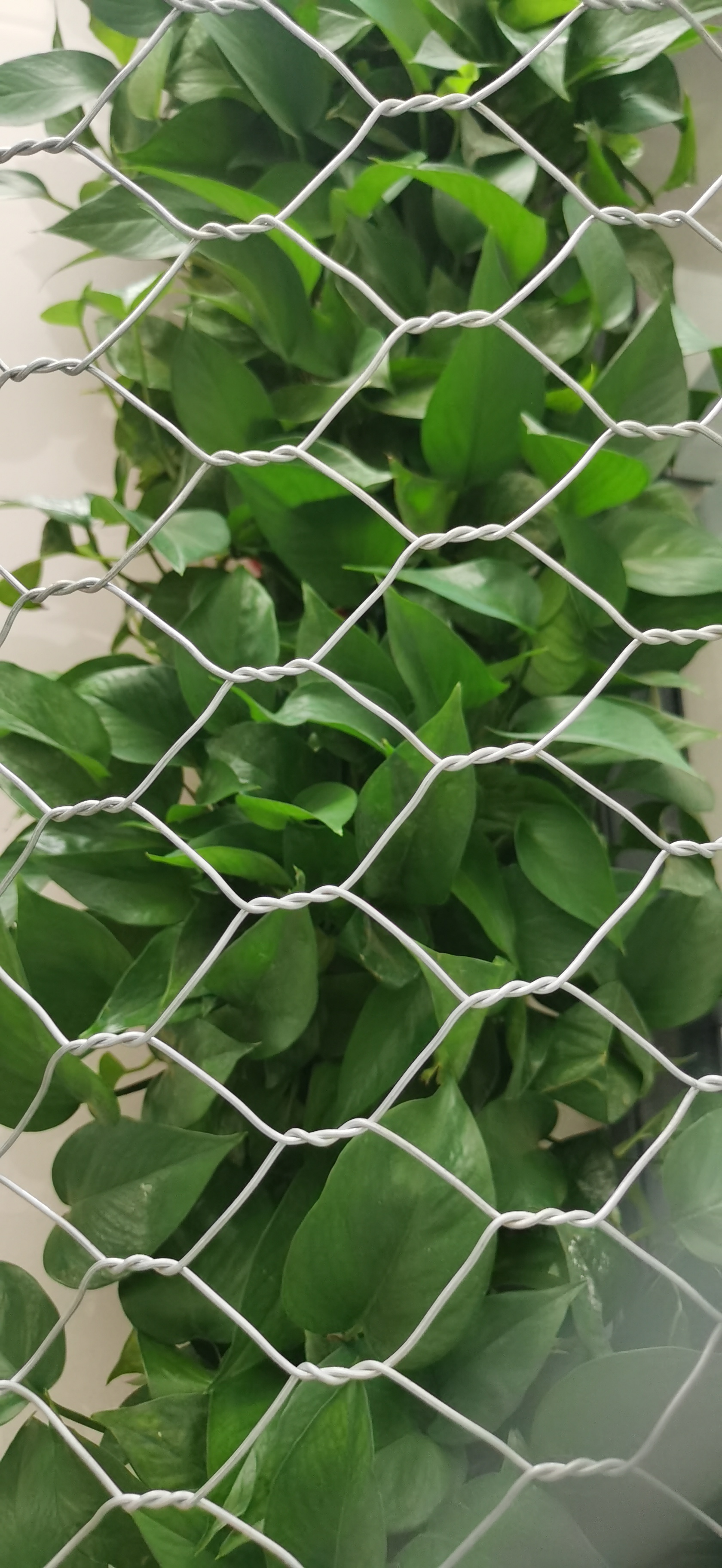Celebrate Father’s Day with Durable Gabion Projects