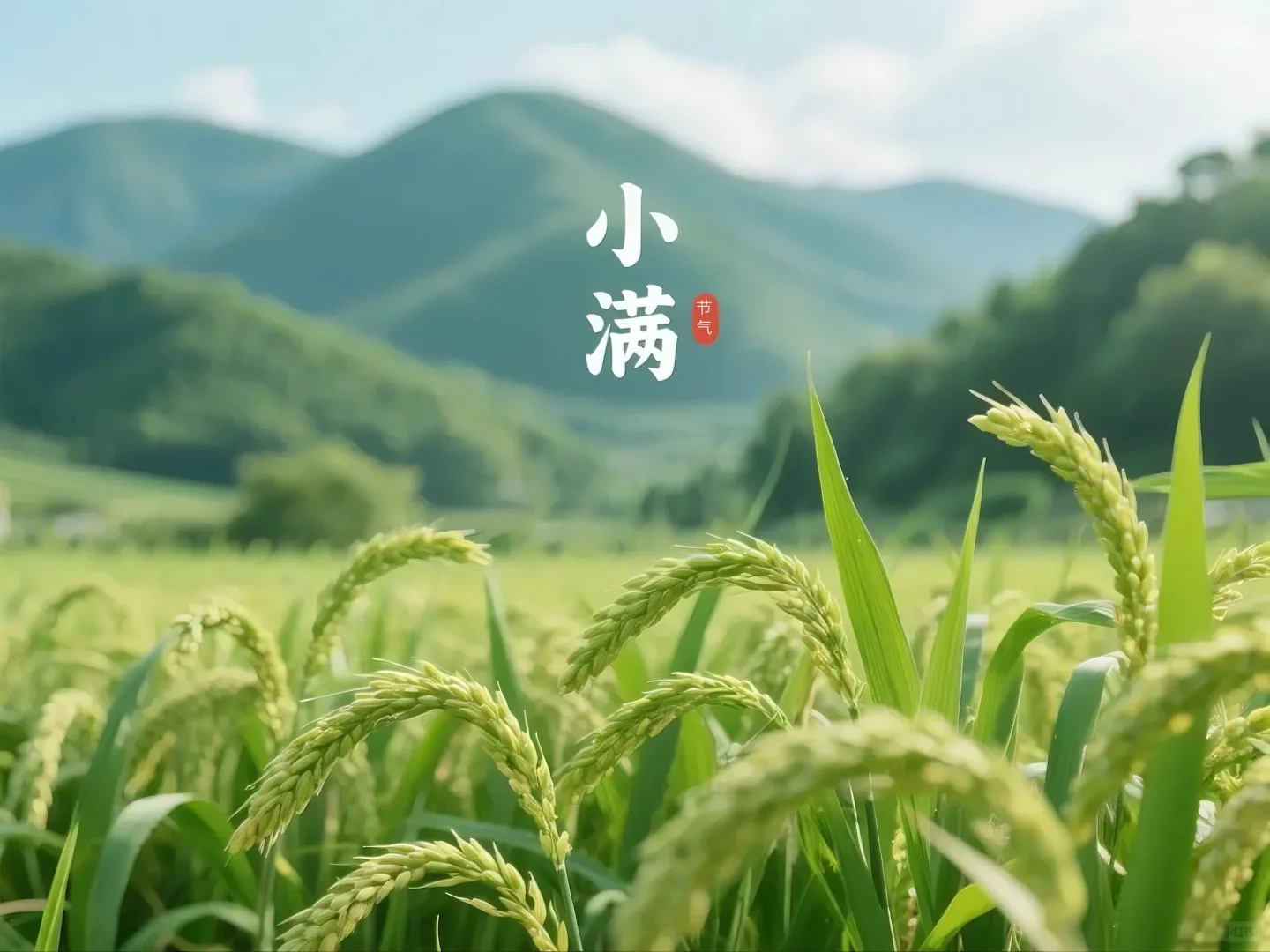 May in the 24 Solar Terms: Lixia and Xiaoman